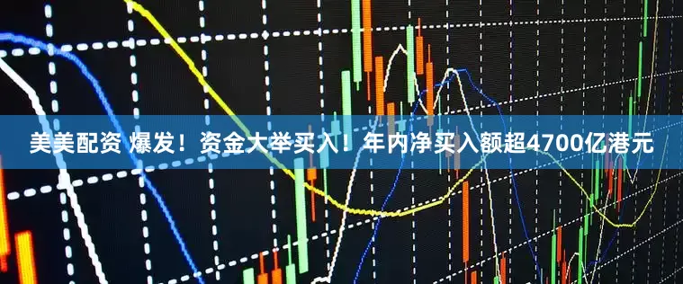 美美配资 爆发！资金大举买入！年内净买入额超4700亿港元
