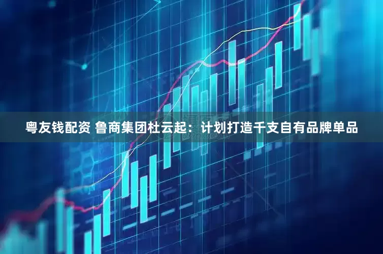 粤友钱配资 鲁商集团杜云起：计划打造千支自有品牌单品