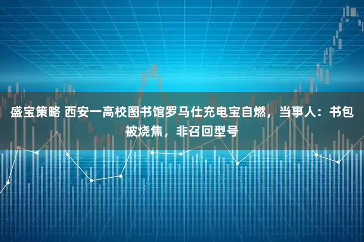 盛宝策略 西安一高校图书馆罗马仕充电宝自燃，当事人：书包被烧焦，非召回型号