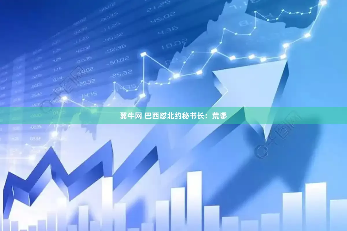 翼牛网 巴西怼北约秘书长：荒谬
