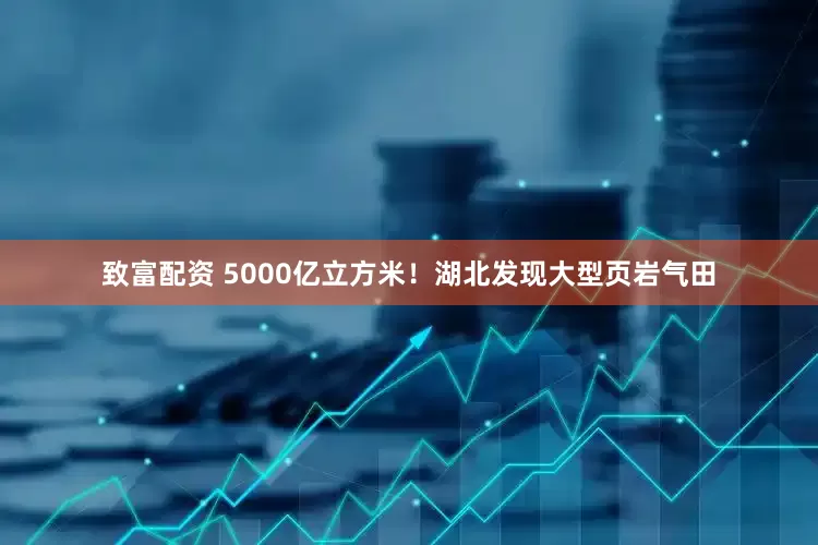 致富配资 5000亿立方米！湖北发现大型页岩气田