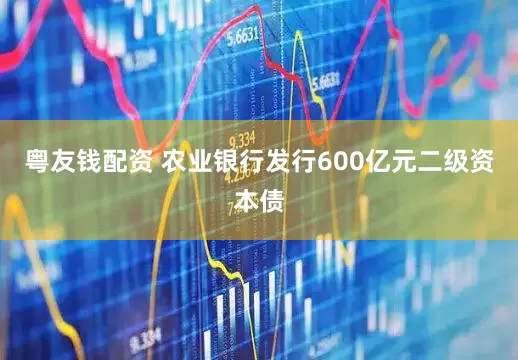 粤友钱配资 农业银行发行600亿元二级资本债