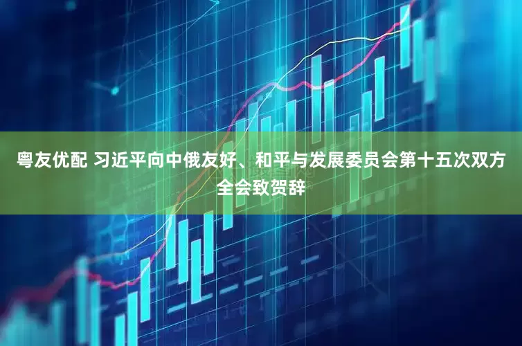 粤友优配 习近平向中俄友好、和平与发展委员会第十五次双方全会致贺辞