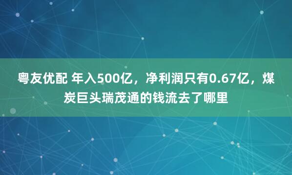 粤友优配 年入500亿，净利润只有0.67亿，煤炭巨头瑞茂通的钱流去了哪里